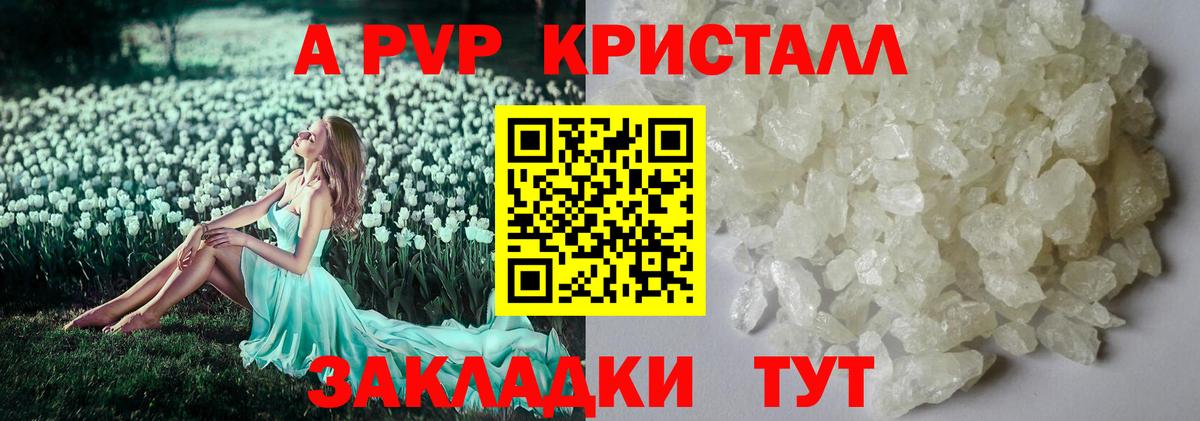 A-PVP СК Шали