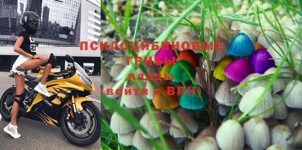 шишки Абинск