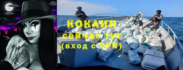 шишки Абинск