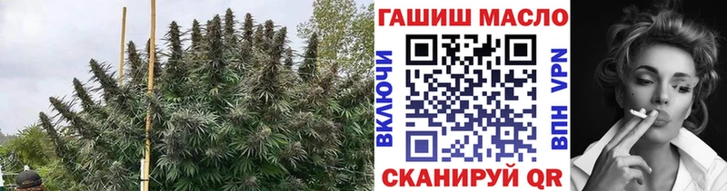 купить наркотики сайты Шали Дистиллят ТГК жижа