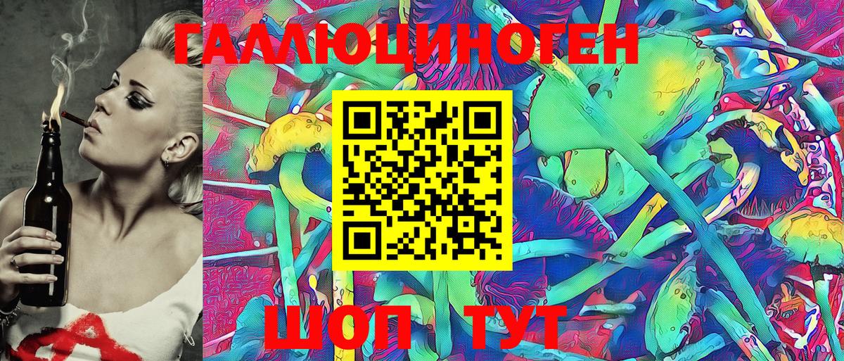 Галлюциногенные грибы Psilocybe  Вход с VPN  Шали 