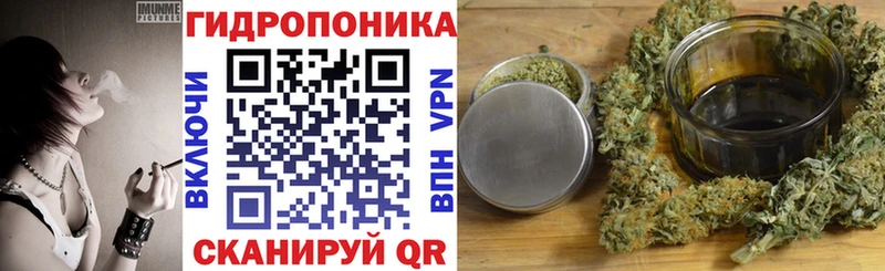 Канабис Amnesia где можно купить наркотик Шали